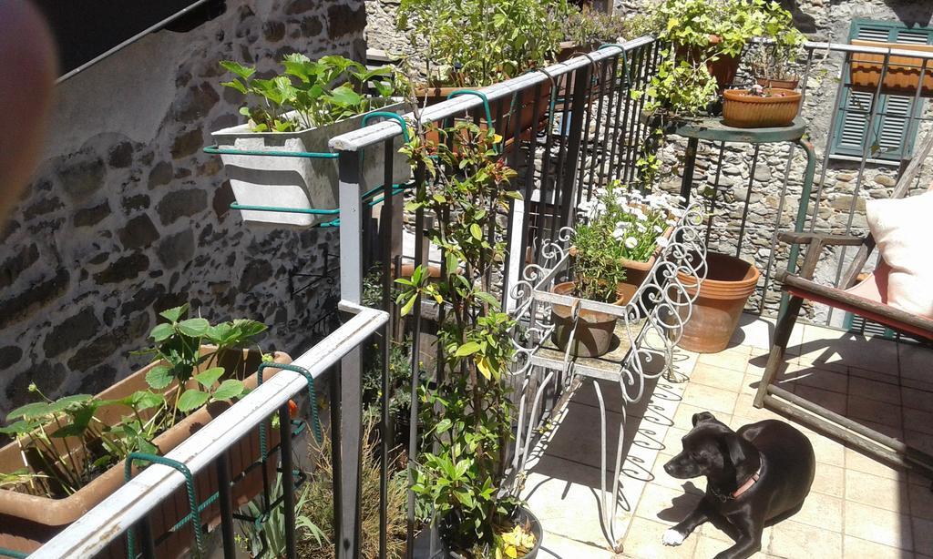 Casa Med Holiday Home Isolabona Εξωτερικό φωτογραφία